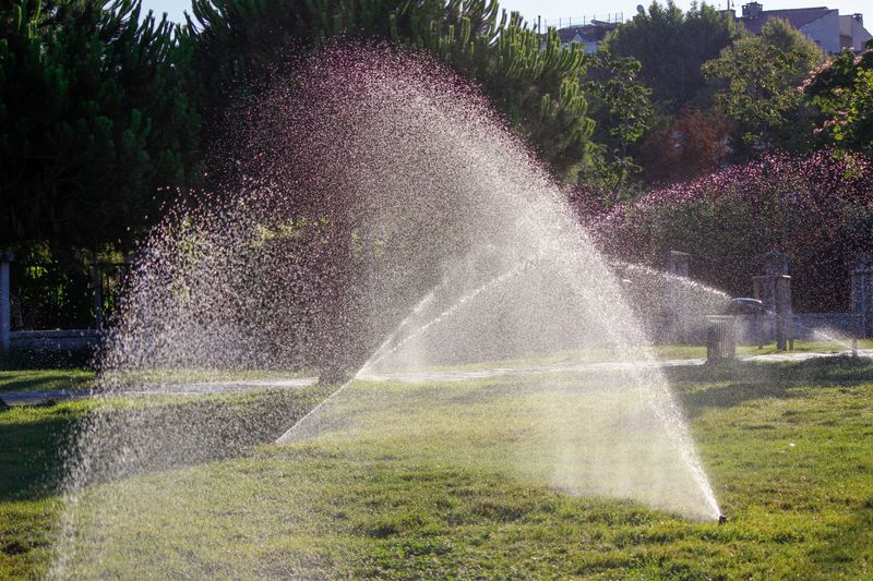 Watering At The Wrong Time Of Day Watering At The Wrong Time Of Day