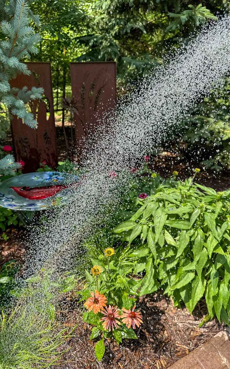 Watering Habits That Make Drooping Worse Watering Habits That Make Drooping Worse