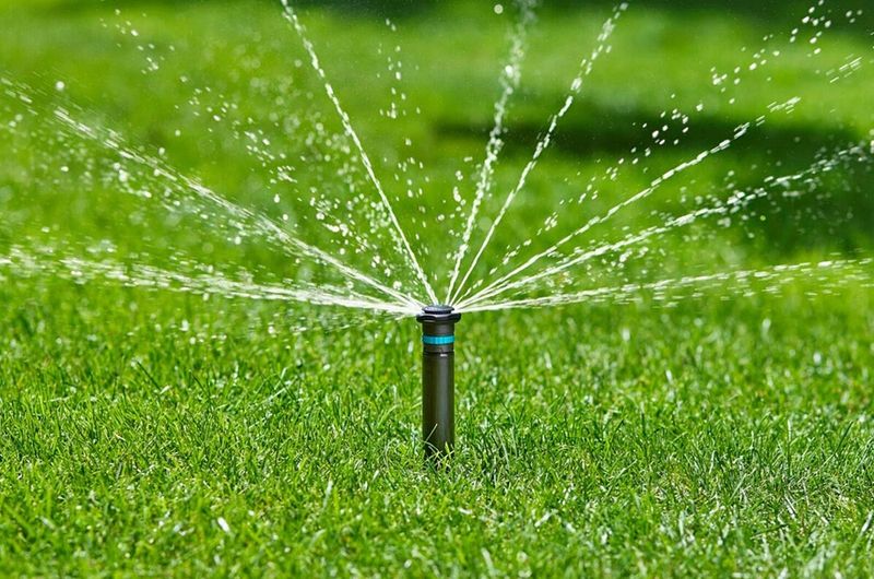 Watering Habits That Make Lawns More Vulnerable