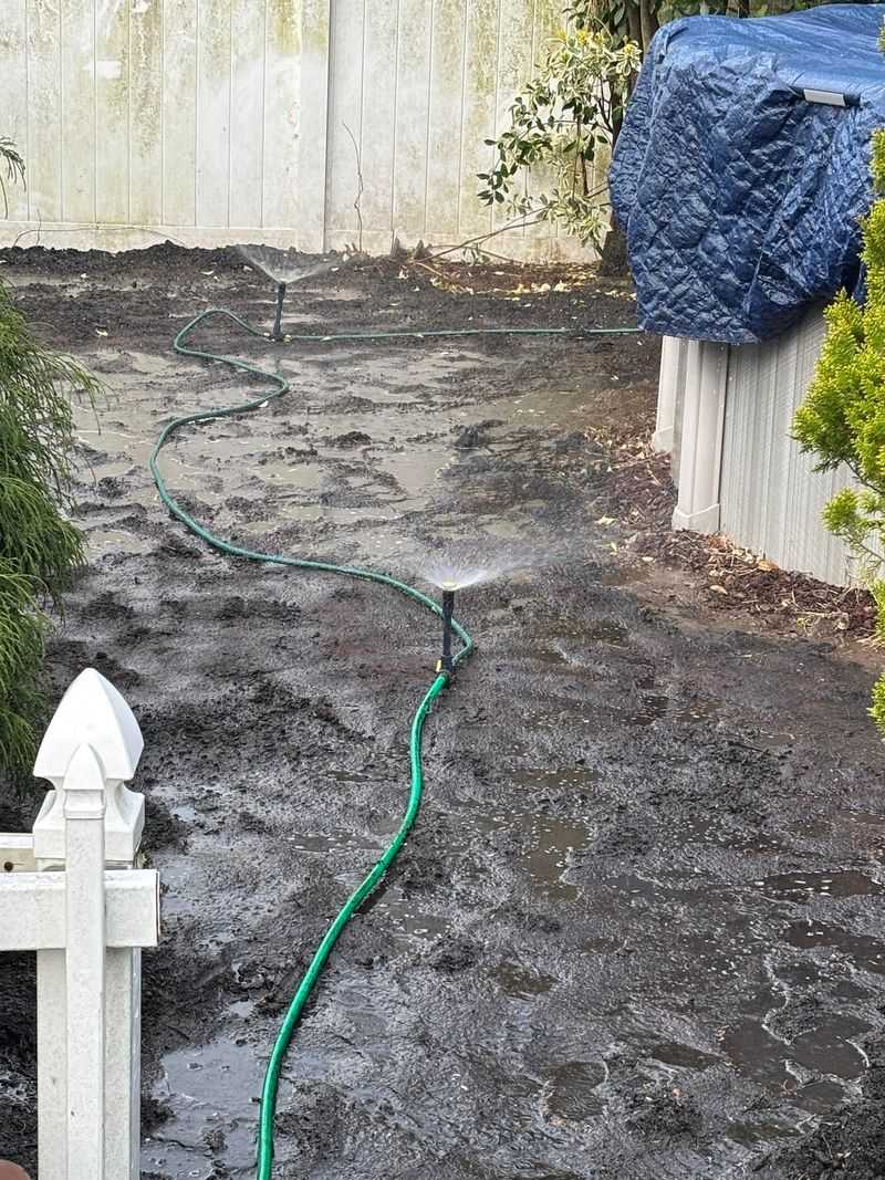 Watering Inconsistently During The Germination Window Watering Inconsistently During The Germination Window