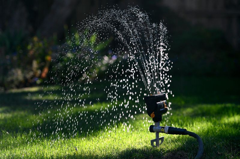 Watering Schedules For The First Three Weeks Watering Schedules For The First Three Weeks