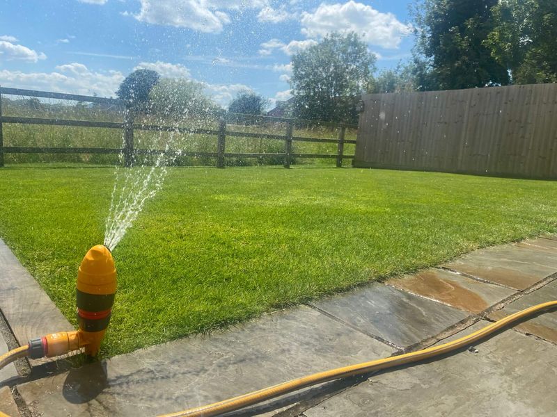 Watering Shallow After Every Hot Mow