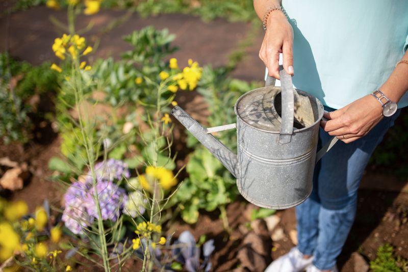 Ways Gardeners Can Help Bring It Back