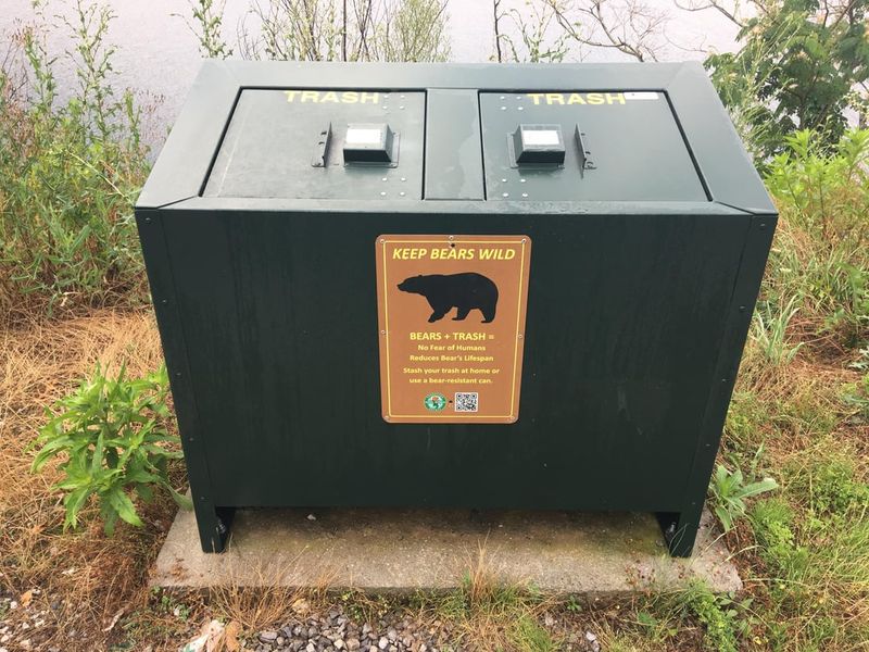 Ways To Make Your Pennsylvania Yard Less Appealing To Bears