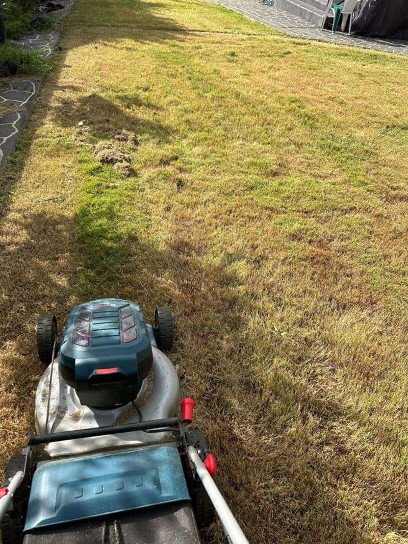 Weak Grass Has A Harder Time Bouncing Back In Fall