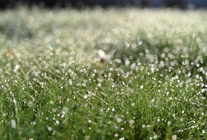 Weather Conditions That Make September The Sweet Spot