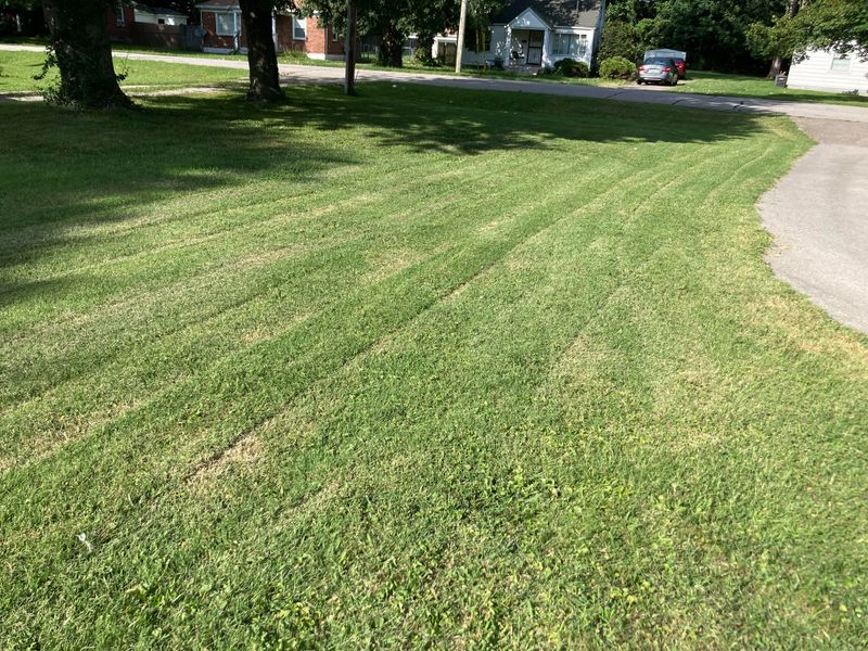 Wet Grass Is Harder To Cut Cleanly