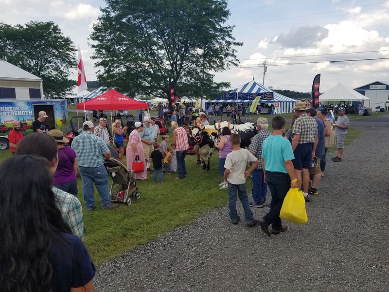 What Ag Progress Days Actually Offers Home Gardeners