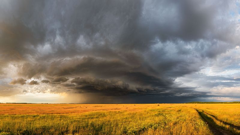 What Changes In Weather Trigger This Behavior