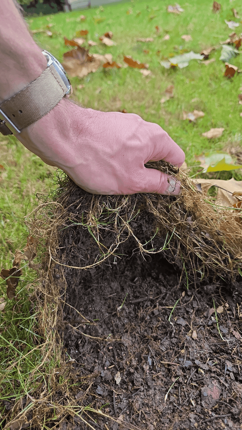 What Compacted Ground Does To Grass Roots