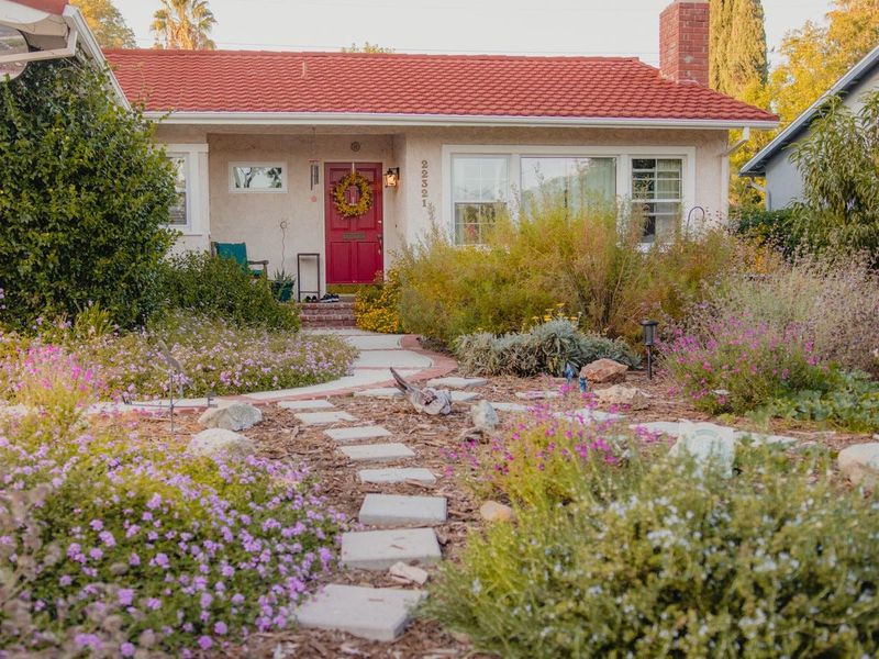What Homeowners Can Plant After Removing Grass What Homeowners Can Plant After Removing Grass