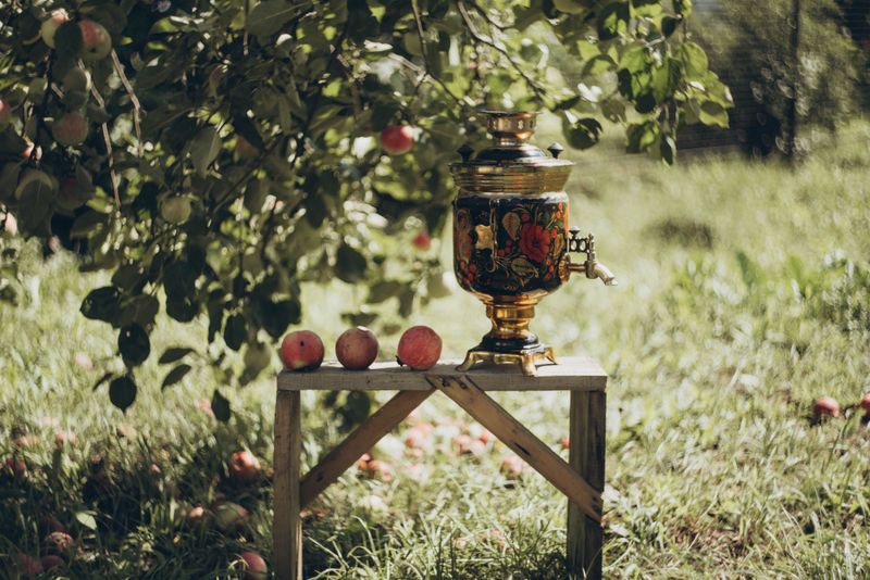 What Is A Backyard Tea Garden