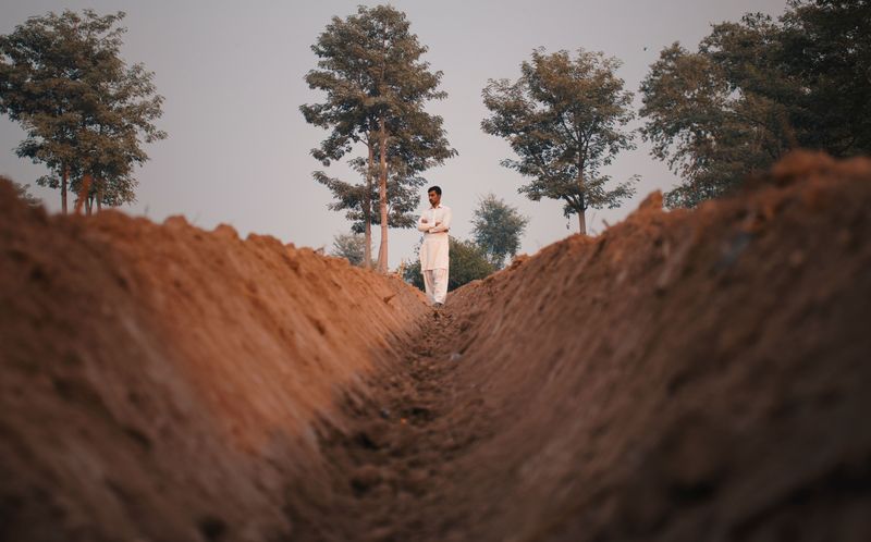 What Is Deep Compost Trenching And How Does It Work