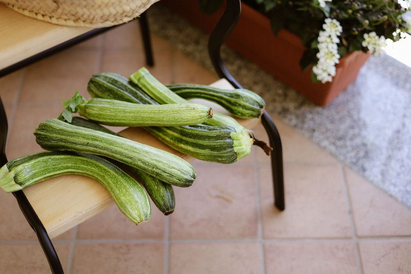 What Is Sneak Some Zucchini Onto Your Neighbor's Porch Day What Is Sneak Some Zucchini Onto Your Neighbor's Porch Day