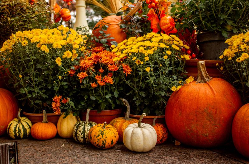 What Is The Tennessee Fall Garden Festival
