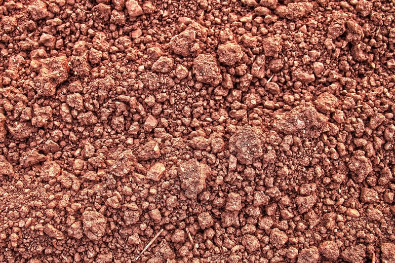 What Maryland Gardeners Are Adding To Clay Soil Before Rain