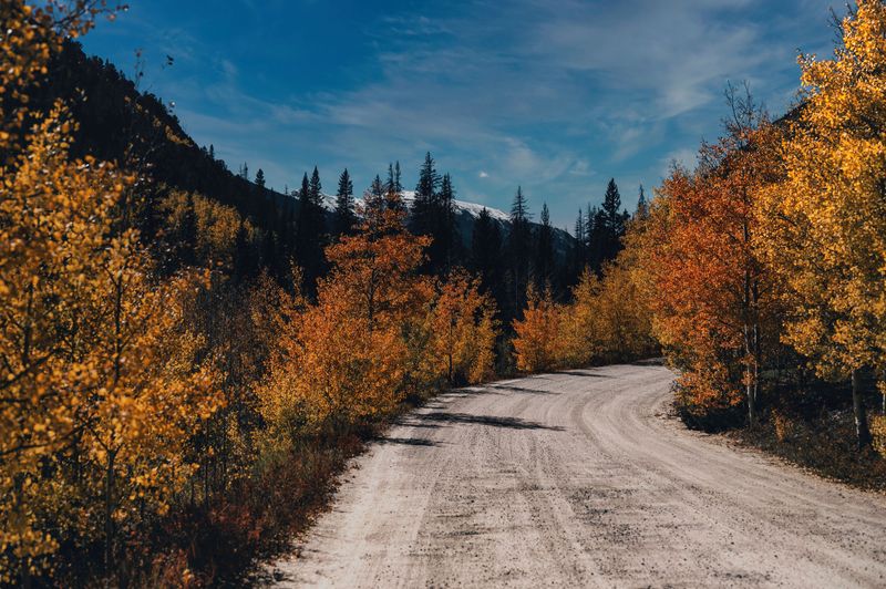 What Their Journey Says About Changing Seasons