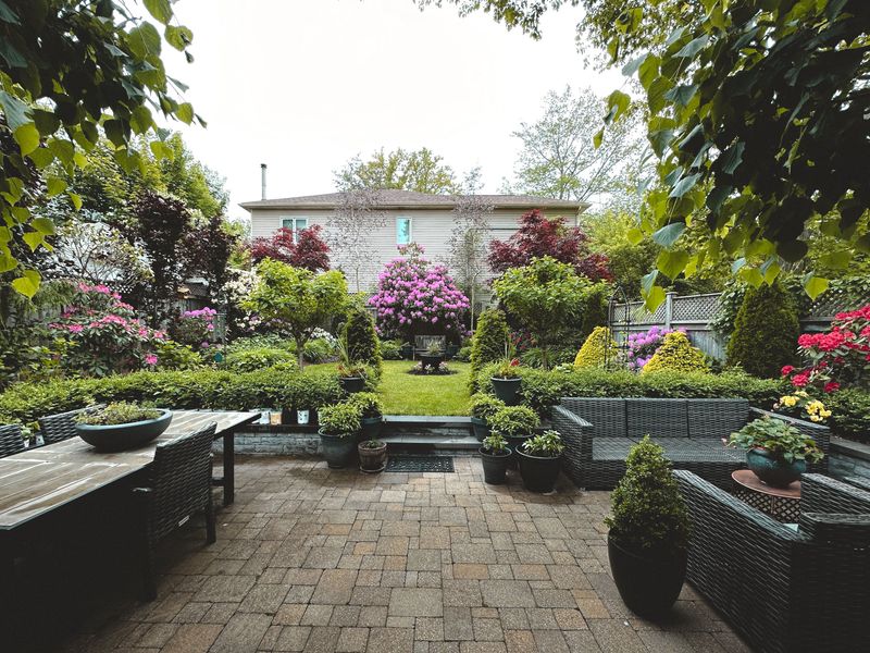 What Their Presence Says About Your Yard What Their Presence Says About Your Yard