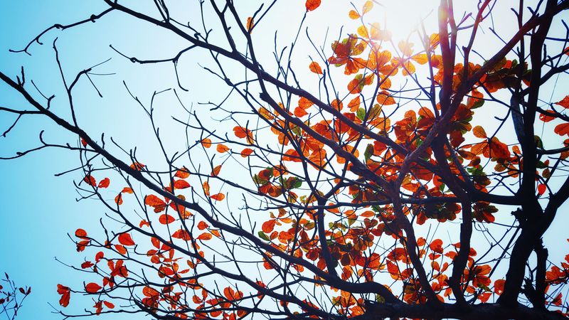 What This Boom Signals About The Season Ahead What This Boom Signals About The Season Ahead