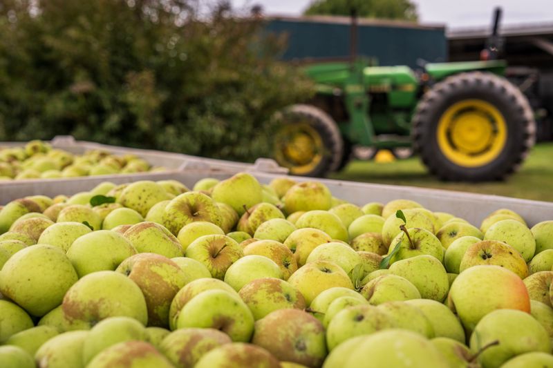 What This Outbreak Means For Missouri's Fruit Industry