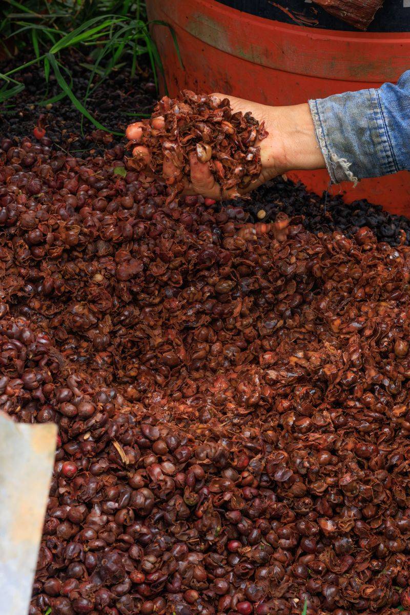 What Types Of Distillery Residue Are Used In Gardening