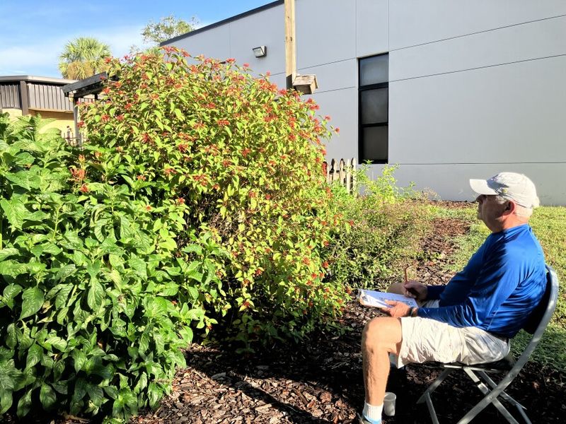 What You Notice Can Change How You Garden