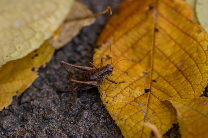 When To Call In Pest Control Help