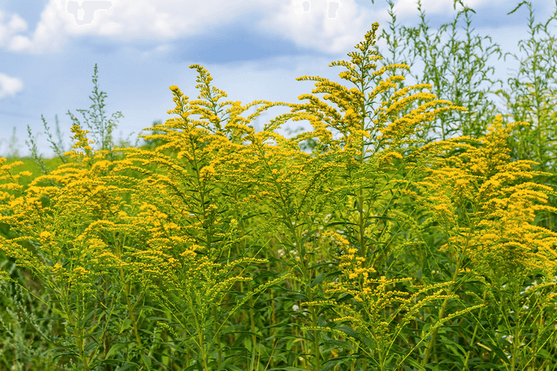 When To Seek Relief From Severe Symptoms When To Seek Relief From Severe Symptoms
