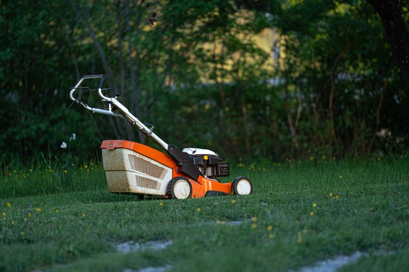 When To Skip Mowing Altogether This Season