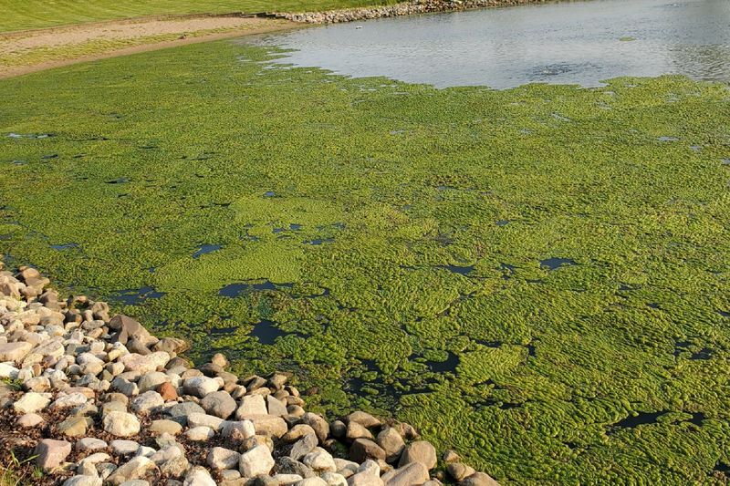 Where That Runoff Ends Up In Michigan Waterways