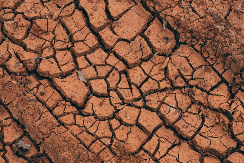 Why Alabama's Red Clay Soil Poses Unique Gardening Challenges