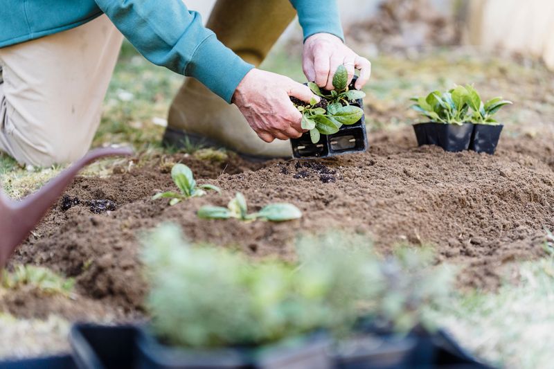 Why August Is A Turning Point For Gardens Why August Is A Turning Point For Gardens