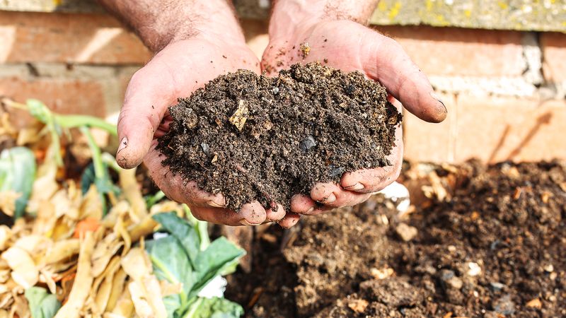 Why Compost Should Be Fully Finished Before Adding It To Vegetable Beds