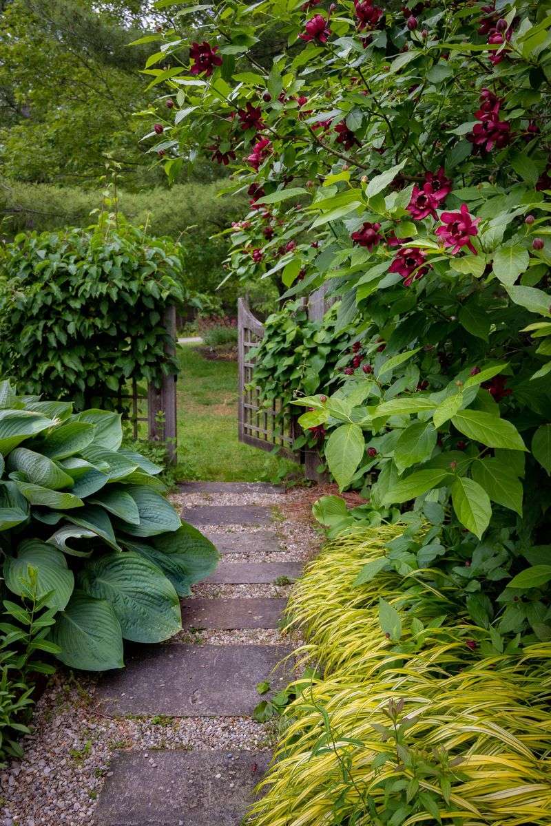 Why Connecticut Gardeners Are Quietly Embracing It