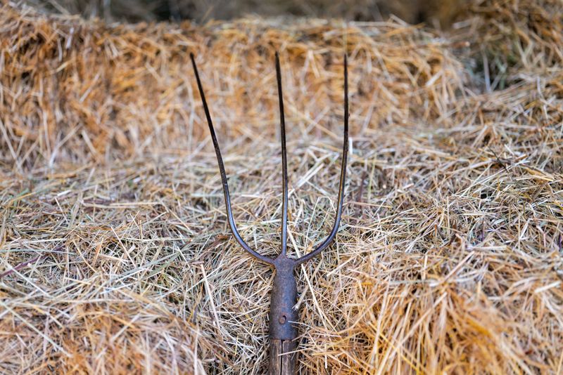 Why Deep Straw Mulch Beats Thin Store-Bought Layers Why Deep Straw Mulch Beats Thin Store-Bought Layers