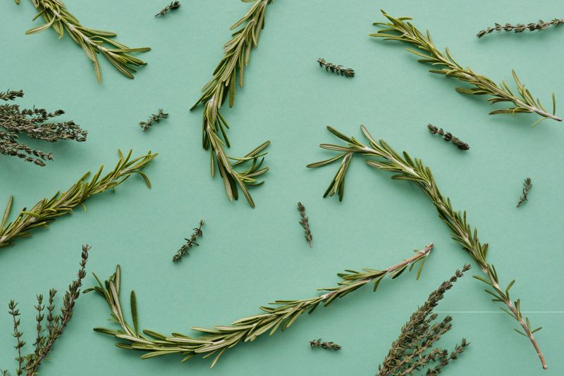 Why Designers Are Suddenly Obsessed With This Herb Why Designers Are Suddenly Obsessed With This Herb