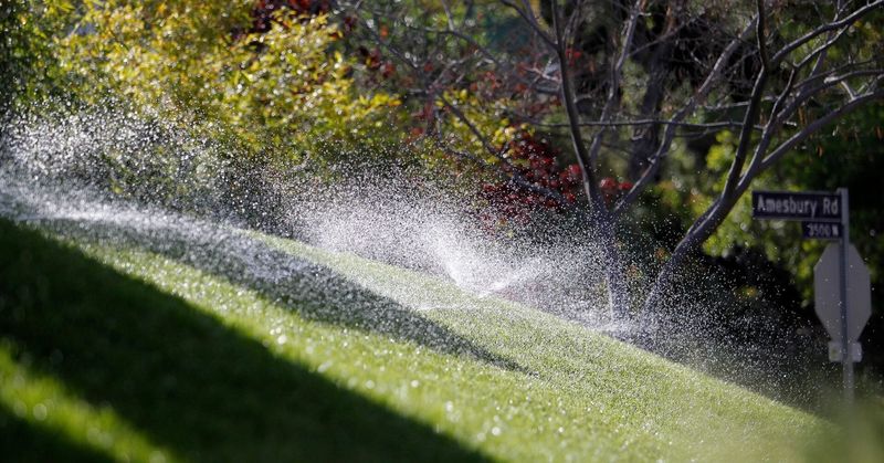 Why Humidity Changes How Grass Handles Water