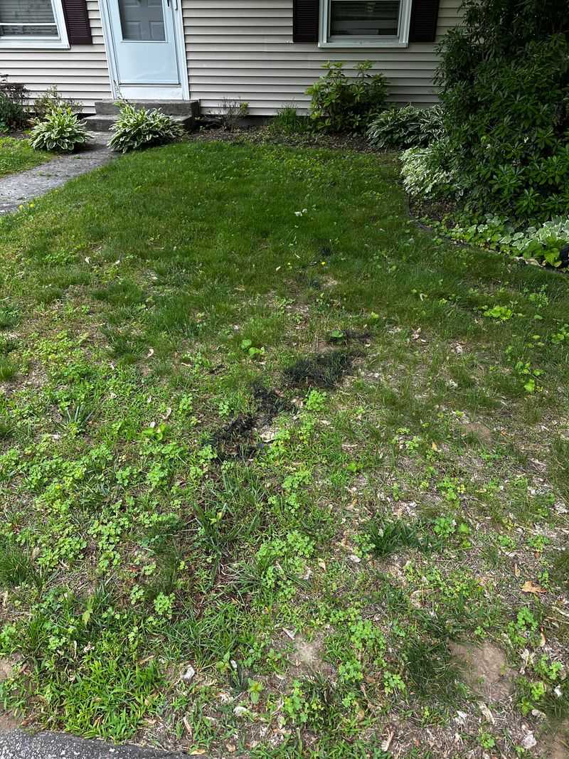 Why Humidity Makes Mold So Persistent
