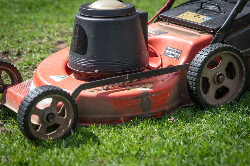 Why Mowing Too Short Damages Your Lawn In Late Summer Why Mowing Too Short Damages Your Lawn In Late Summer