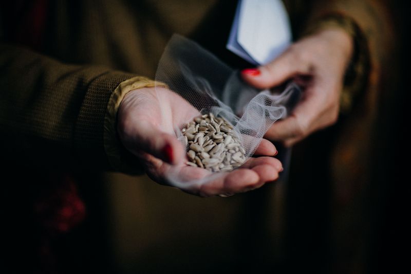 Why Neighbors Exchange Seeds Instead Of Buying New