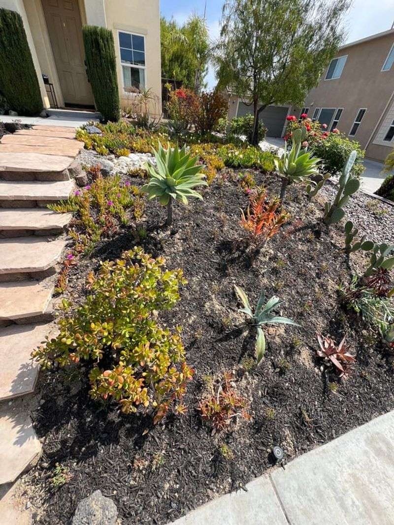 Why Nighttime Watering Can Leave Problem Areas Damp Why Nighttime Watering Can Leave Problem Areas Damp