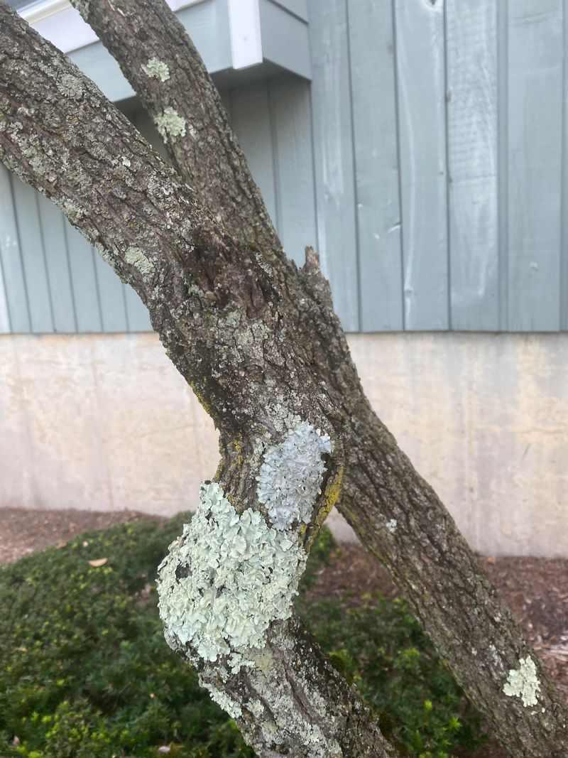 Why One Female Can Leave Dozens Of Eggs Behind