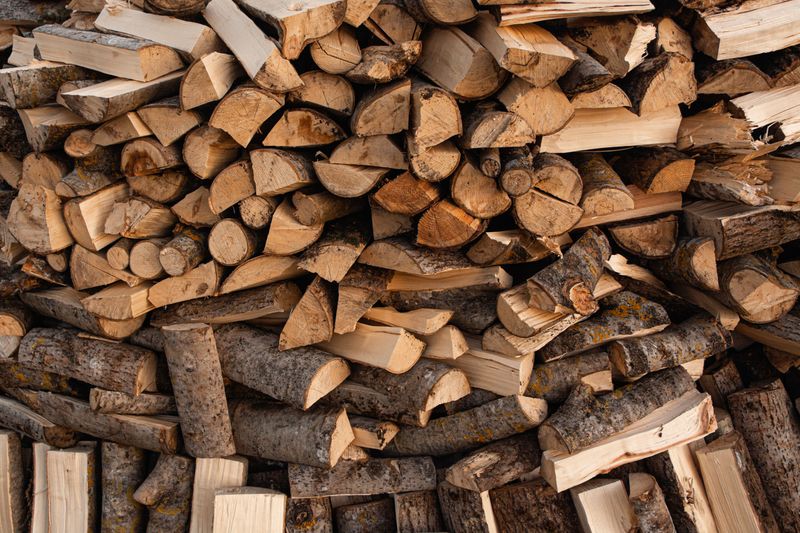 Why Quarantine Rules Exist For Firewood