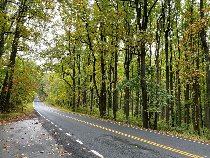 Why Virginia's Climate Makes This Common