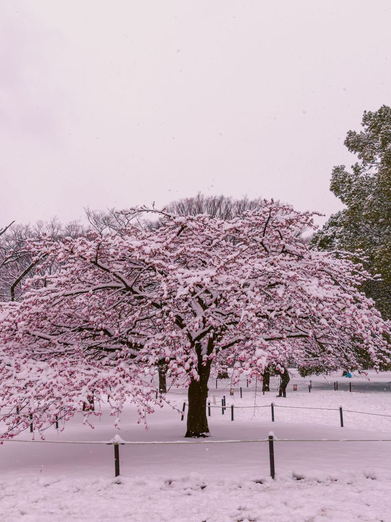 Winters Require Cold-Hardy Varieties Winters Require Cold-Hardy Varieties
