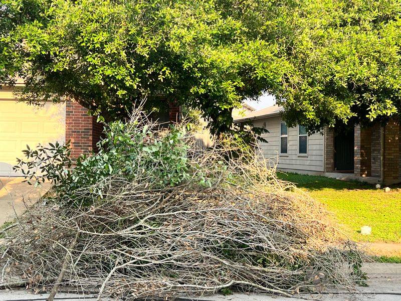 Withered Brush Is More Serious Than A Messy Yard