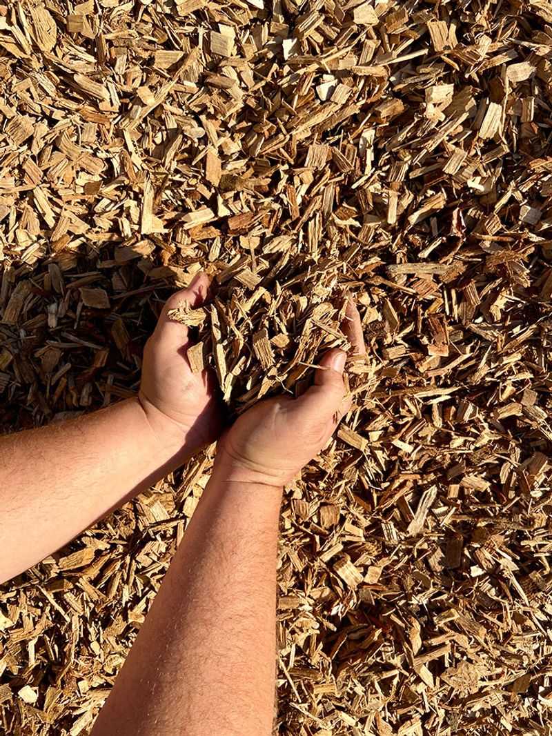 Wood Chip Mulch Works Best In Planted Beds