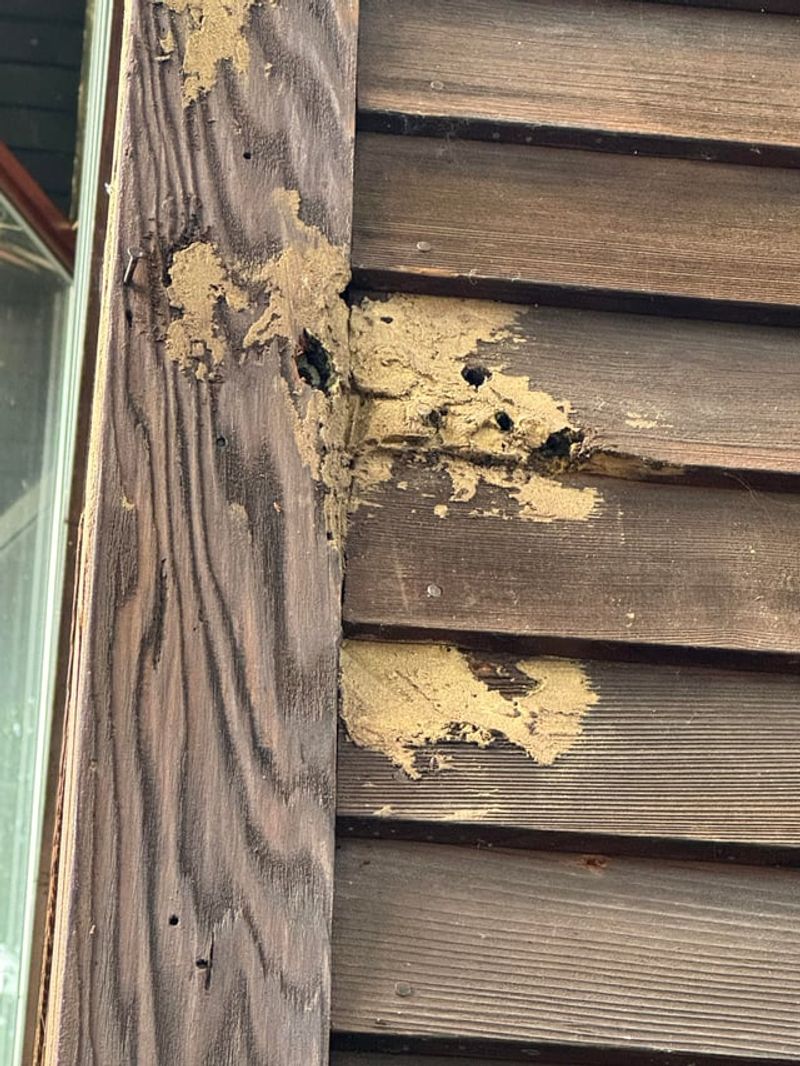 Wood Siding Can Sound Like A Giant Drum