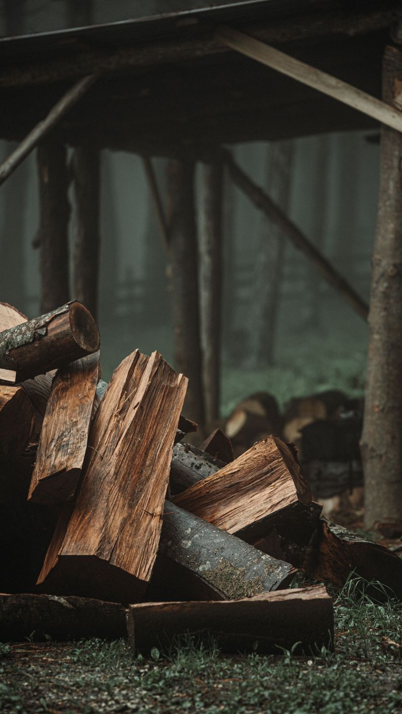 Woodpiles Create Moist Hiding Spots Woodpiles Create Moist Hiding Spots
