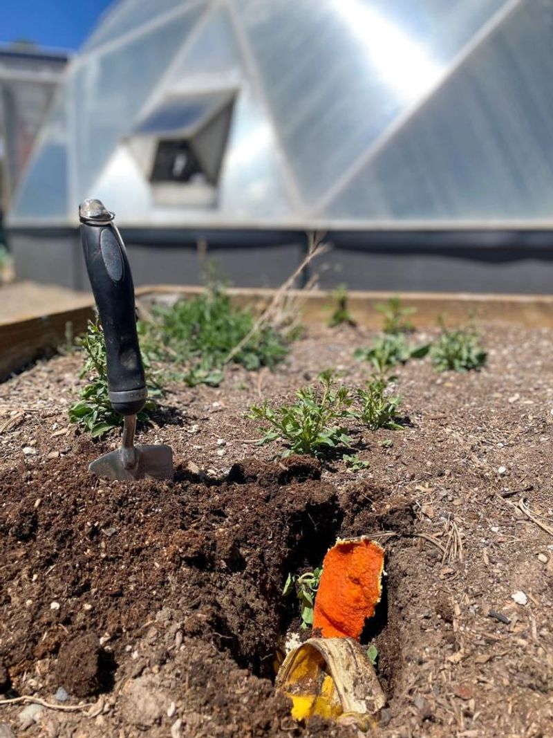 Work Aged Compost Into Your Garden Beds Work Aged Compost Into Your Garden Beds